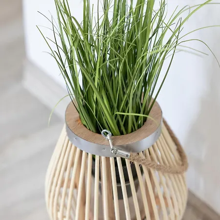 Vendégház Older Krab