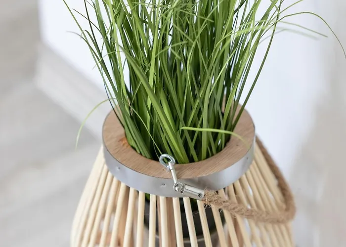 Vendégház Older Krab